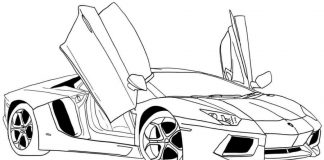 Livre de coloriage Lamborghini voiture de sport