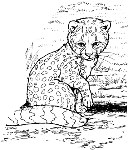 Liten gepard som kan skrivas ut