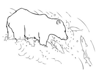 image à imprimer d'un ours grizzly