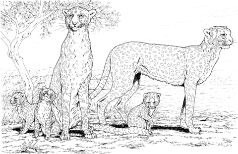 Rodzina gepardów obrazek do drukowania