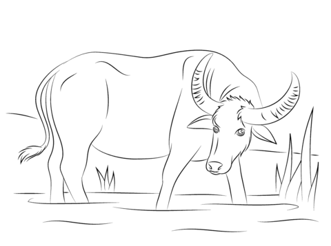 imagen imprimible de búfalo