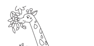 giraffes printable picture