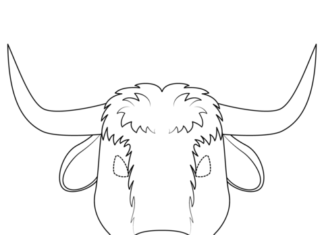 obrázok volov na tlač