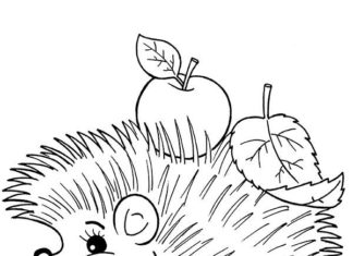 ježek na podzim obrázek k vytištění