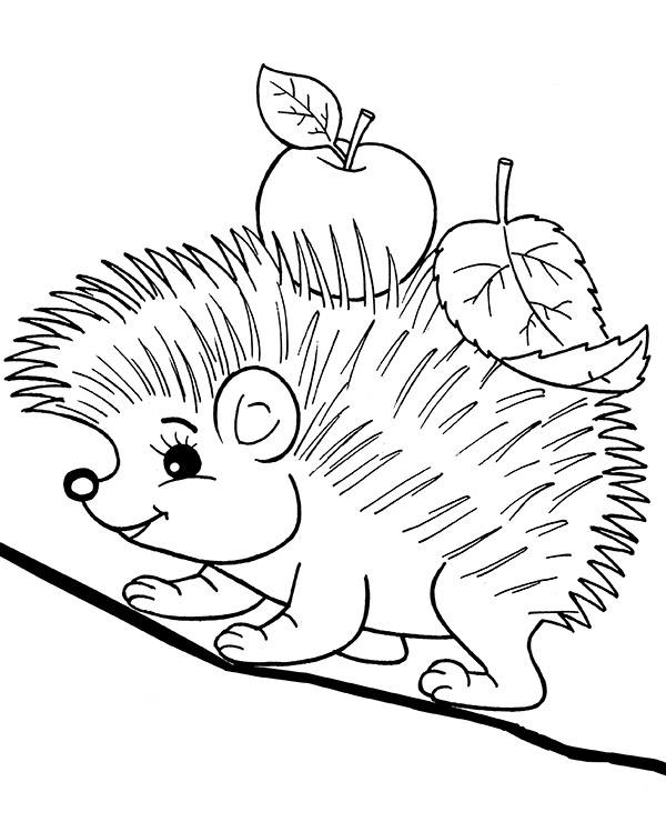 hedgehog in autumn printable picture