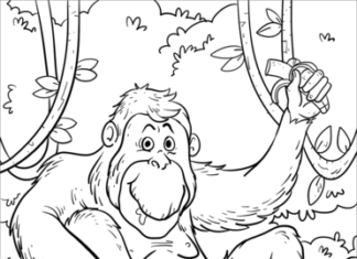 abe i junglen billede til udskrivning