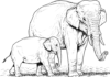 elefant som kan skrivas ut bild