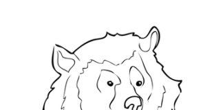 ヒマラヤ熊の印刷用画像