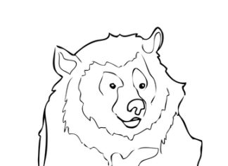 Imagen imprimible del oso del Himalaya