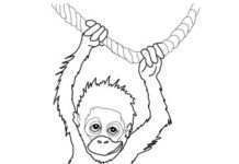 orangutan obrázek k vytištění