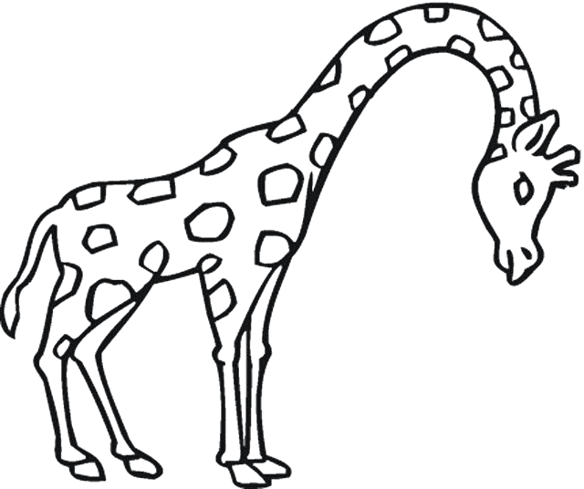 giraffes coloring pages