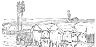 bild av oxen att skriva ut