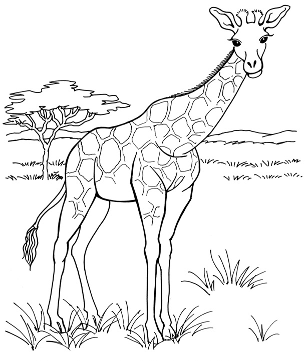 żyrafa na łącze do drukowania