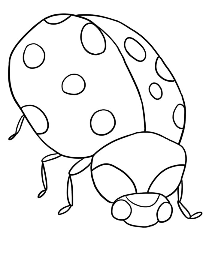 ladybug printable picture