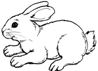 走るウサギの印刷用画像