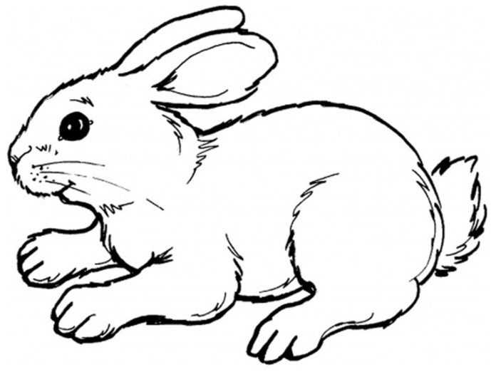 bežiaci králik obrázok na vytlačenie