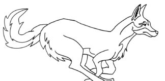 running coyote printable picture