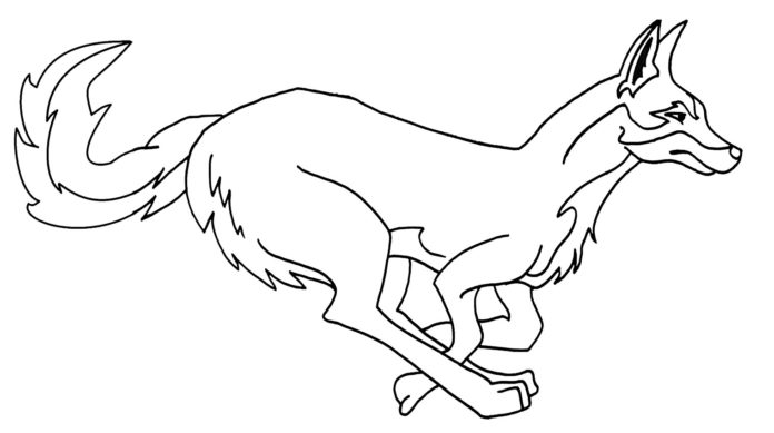 běžící kojot obrázek k vytištění