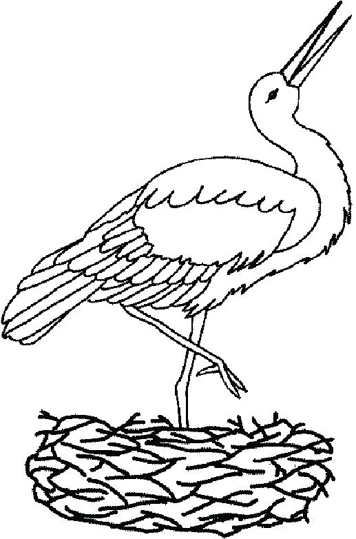 gólya nyomtatható kép