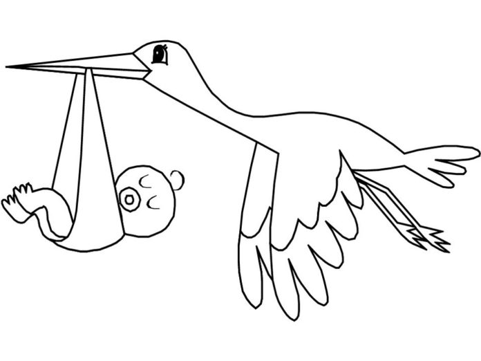 Storch mit Babybild zum Ausdrucken