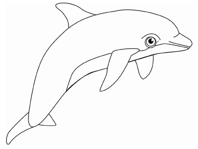 obrázek delfína k tisku