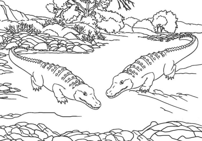 image imprimable d'alligators