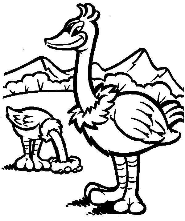 imagen imprimible de avestruz