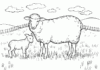 プリントする羊の絵