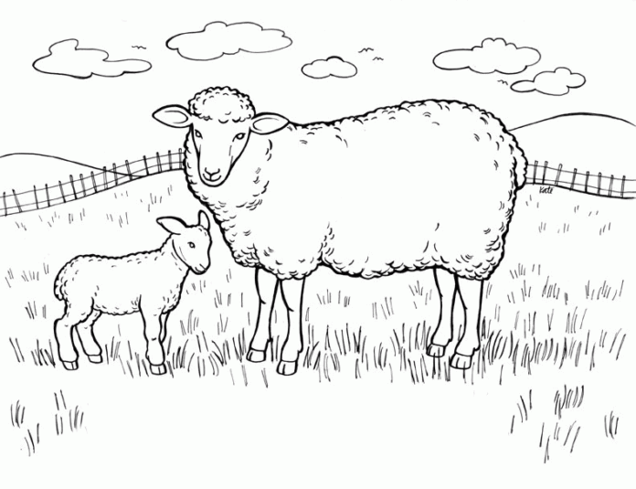プリントする羊の絵