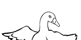 goose printable picture