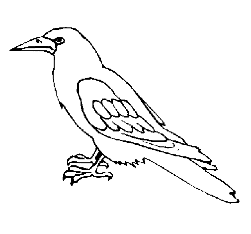 Libro para colorear de cuervos salvajes para imprimir y en línea