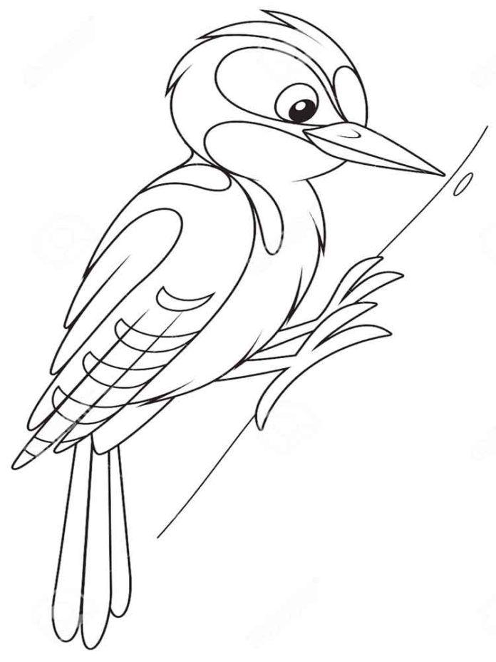 woodpecker printable picture
