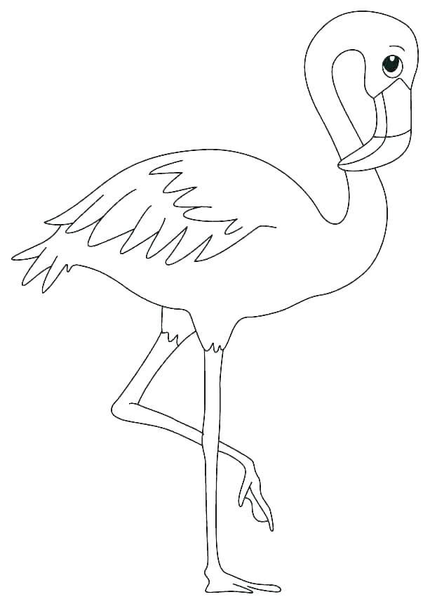 imagen del flamingo junto al lago para imprimir