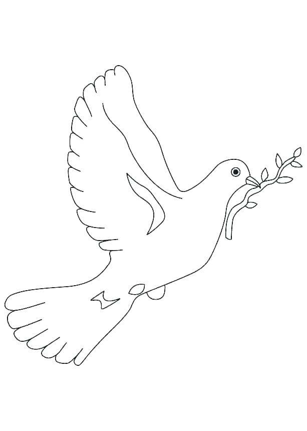 imagen imprimible de una paloma