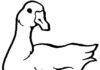 goose on a farm printable picture