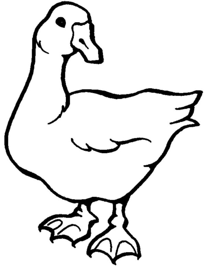 imagen imprimible de un ganso en una granja