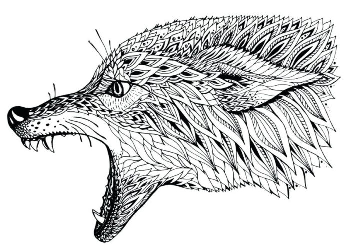 immagine stampabile del lupo