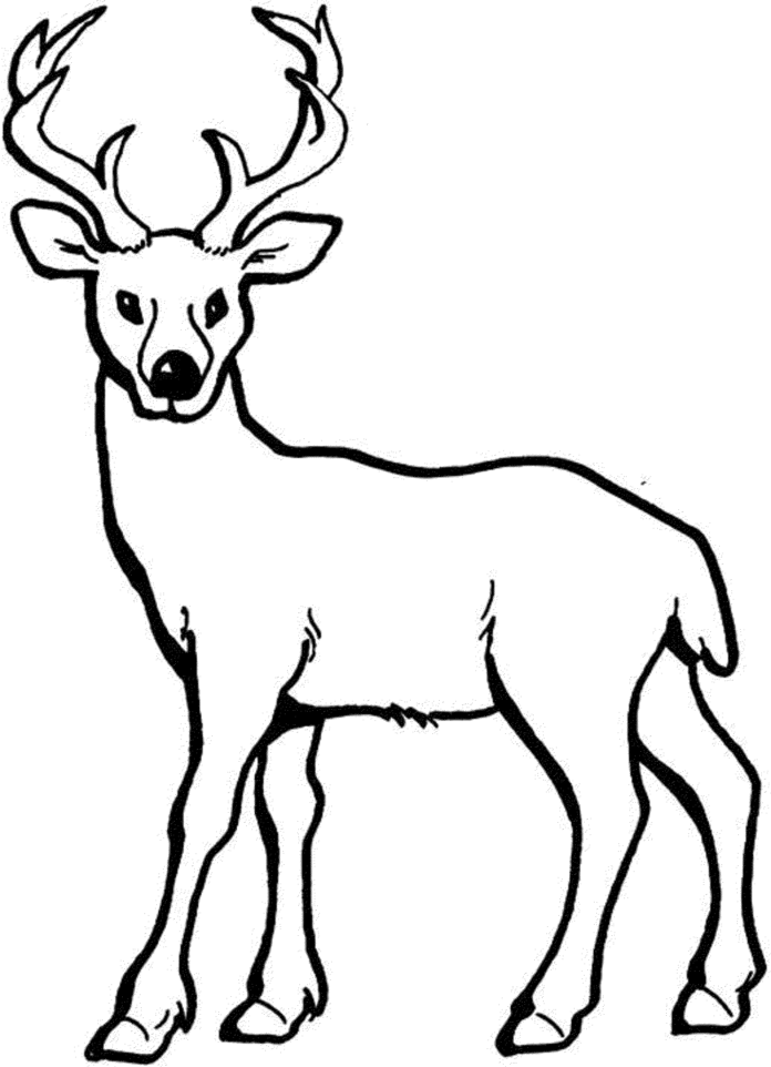 obrázok na vyfarbenie jeleňa