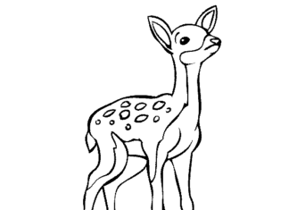 obrázek jelena k vytisknutí
