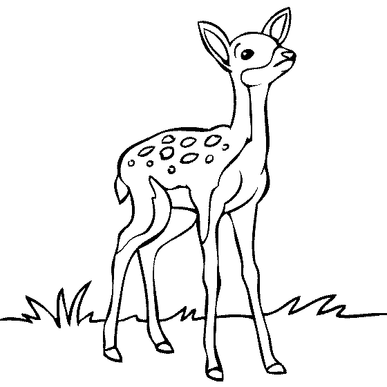 鹿の絵
