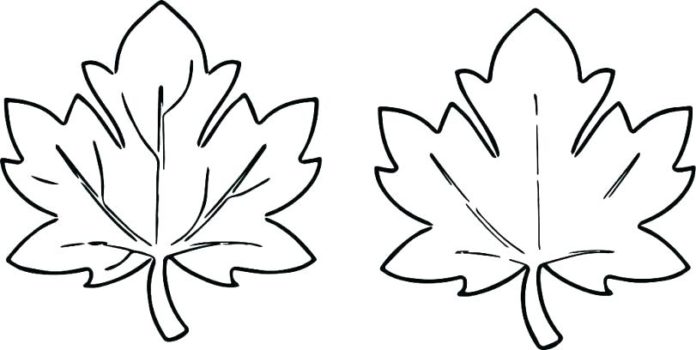 efterårsblade til udskrivning