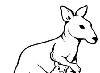 Känguru mit Babybild zum Ausdrucken