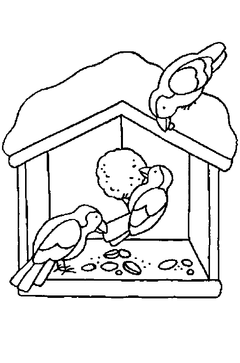 imagem do alimentador de pássaros para imprimir