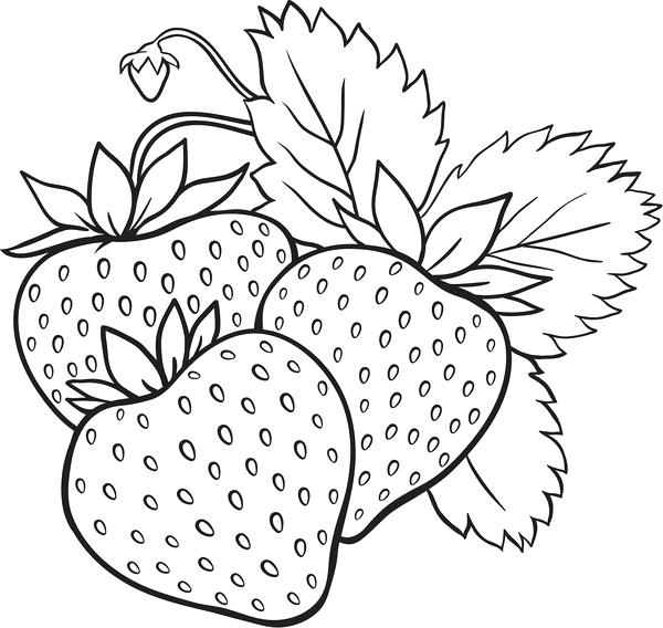 strawberry coloring page