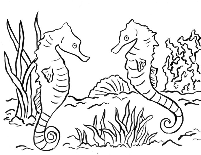 seahorses printable picture