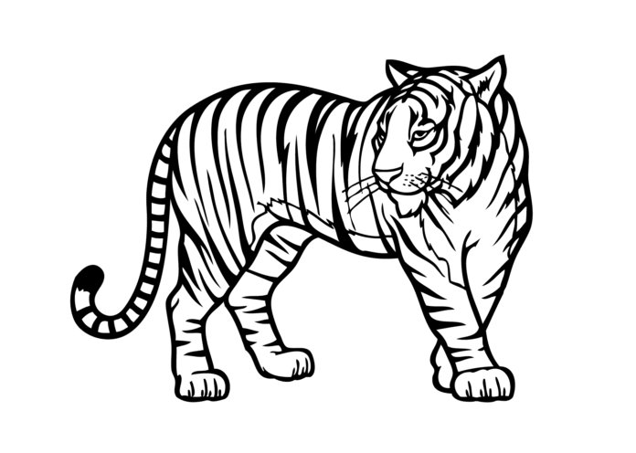 tygří kočka tisknutelný obrázek