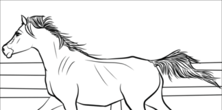 printable horse picture