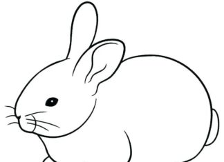 obrázok zajačika na vytlačenie