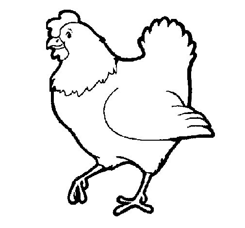 imagem da galinha para imprimir