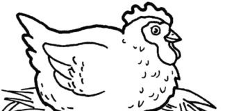 卵を持つ鶏 印刷用画像
